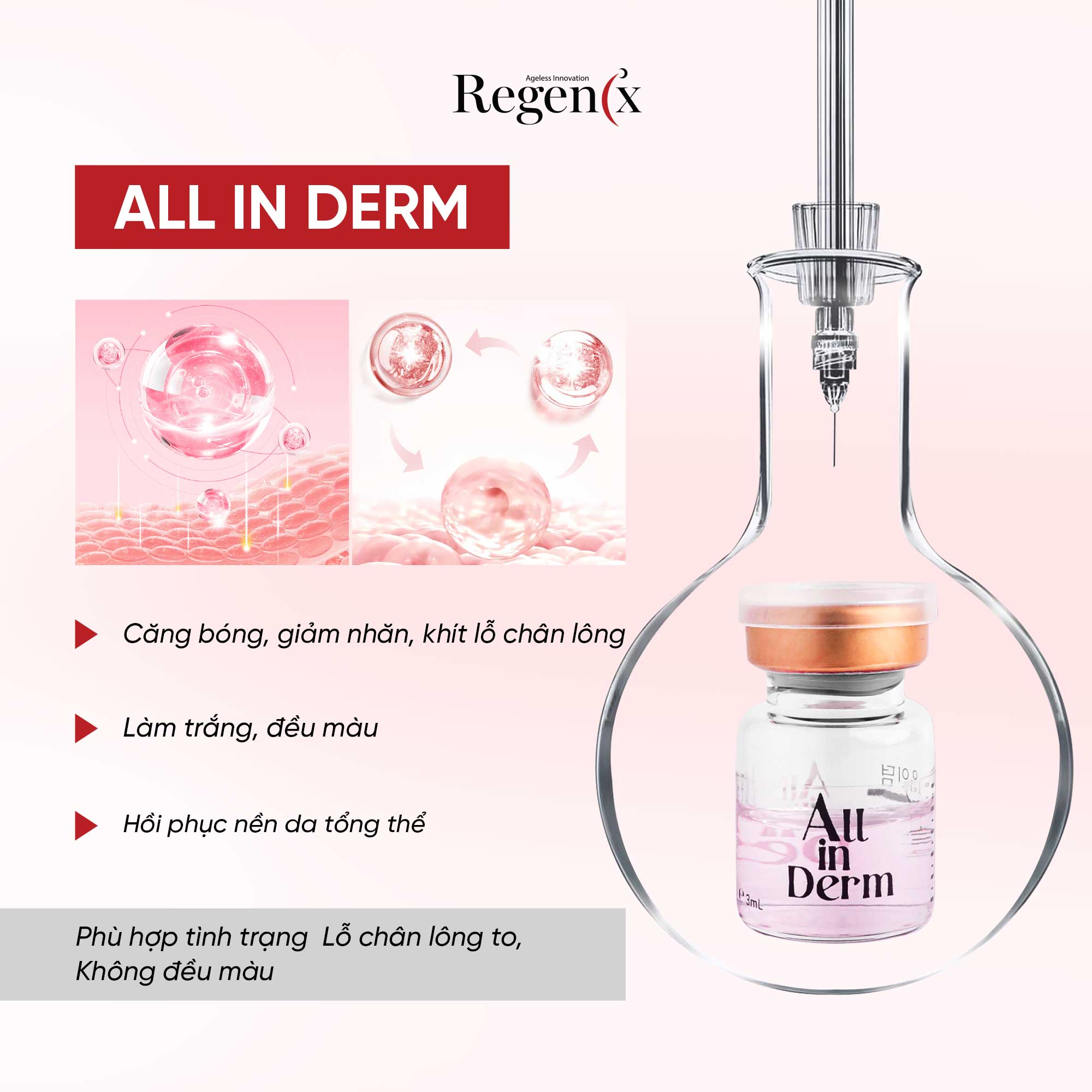 ALL IN DERM - TRẺ HÓA TRẮNG SÁNG CĂNG BÓNG DA - Ảnh 2